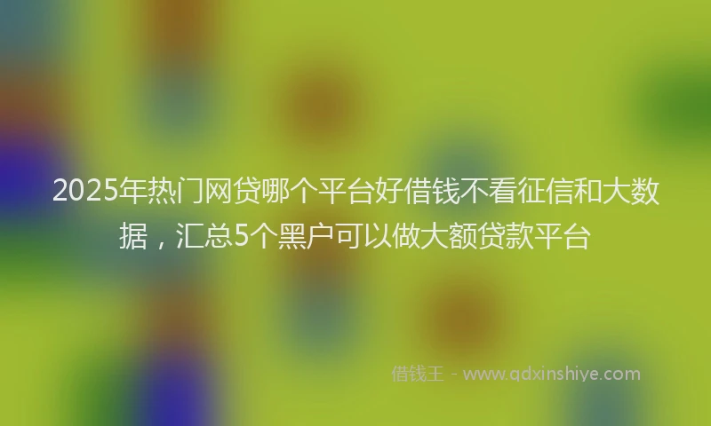 2025年热门网贷哪个平台好借钱不看征信和大数据，汇总5个黑户可以做大额贷款平台