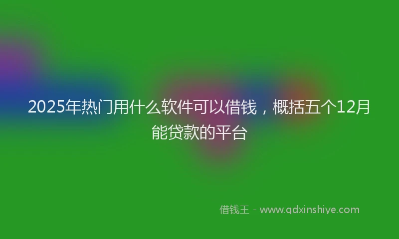 2025年热门用什么软件可以借钱,概括五个12月能贷款的平台