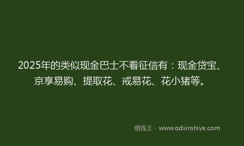 2025年的类似现金巴士不看征信有：现金贷宝、京享易购、提取花、戒易花、花小猪等。