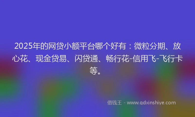 2025年的网贷小额平台哪个好有：微粒分期、放心花、现金贷易、闪贷通、畅行花-信用飞-飞行卡等。