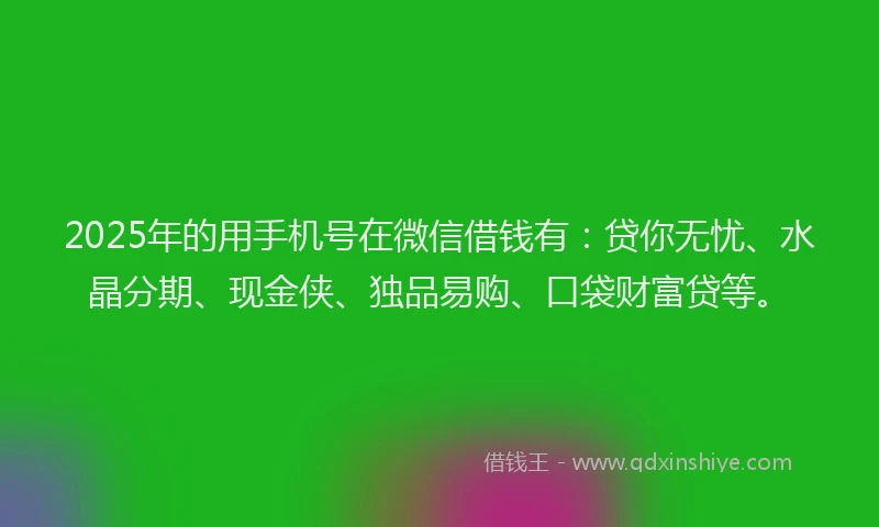 2025年的用手机号在微信借钱有：贷你无忧、水晶分期、现金侠、独品易购、口袋财富贷等。