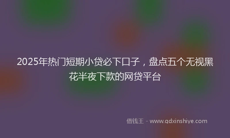 2025年热门短期小贷必下口子，盘点五个无视黑花半夜下款的网贷平台