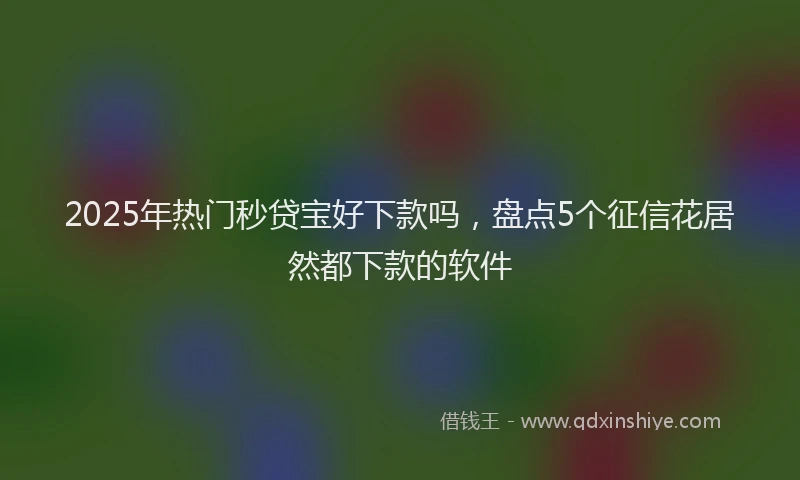 2025年热门秒贷宝好下款吗,盘点5个征信花居然都下款的软件