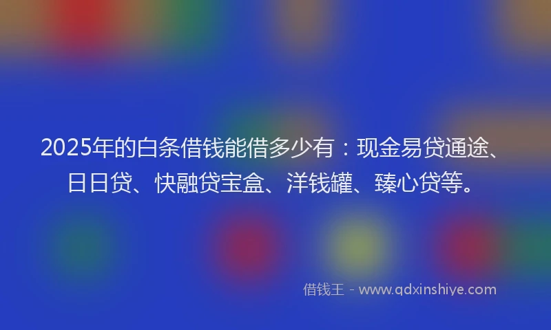 2025年的白条借钱能借多少有：现金易贷通途、日日贷、快融贷宝盒、洋钱罐、臻心贷等。