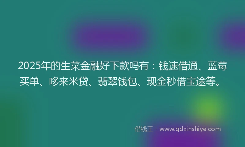 2025年的生菜金融好下款吗有:钱速借通、蓝莓买单、哆来米贷、翡翠钱包、现金秒借宝途等。