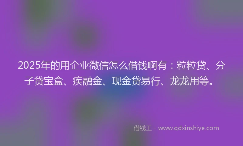 2025年的用企业微信怎么借钱啊有：粒粒贷、分子贷宝盒、疾融金、现金贷易行、龙龙用等。