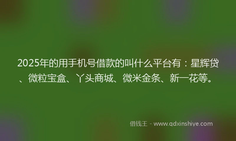 2025年的用手机号借款的叫什么平台有：星辉贷、微粒宝盒、丫头商城、微米金条、新一花等。