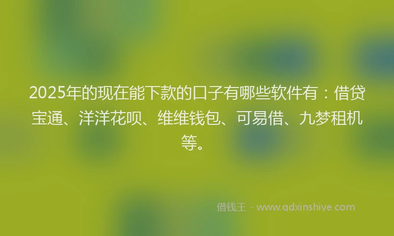 2025年的现在能下款的口子有哪些软件有：借贷宝通、洋洋花呗、维维钱包、可易借、九梦租机等。