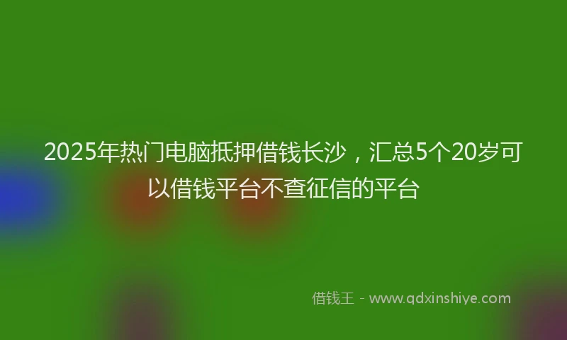 2025年热门电脑抵押借钱长沙，汇总5个20岁可以借钱平台不查征信的平台