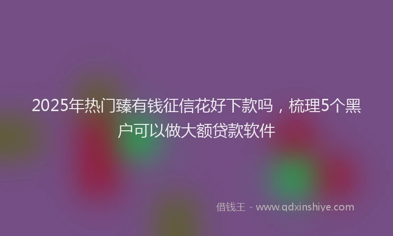 2025年热门臻有钱征信花好下款吗，梳理5个黑户可以做大额贷款软件