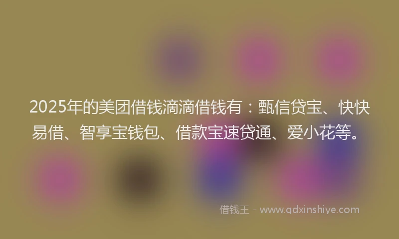 2025年的美团借钱滴滴借钱有：甄信贷宝、快快易借、智享宝钱包、借款宝速贷通、爱小花等。