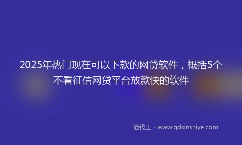2025年热门现在可以下款的网贷软件，概括5个不看征信网贷平台放款快的软件