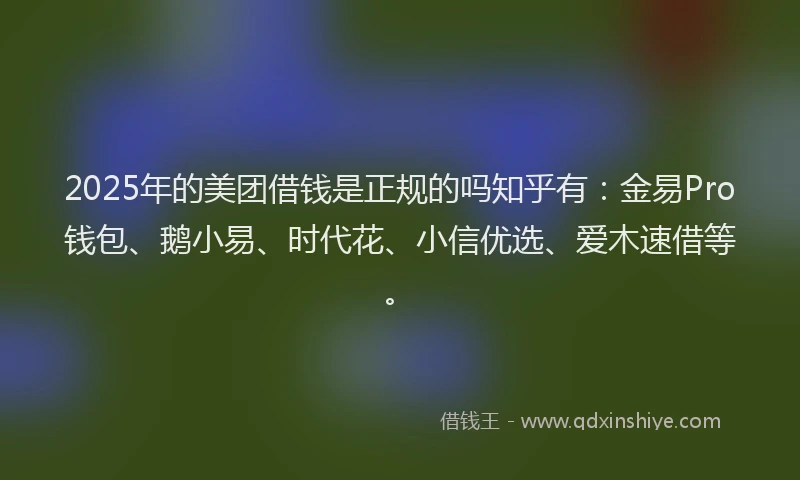 2025年的美团借钱是正规的吗知乎有：金易Pro钱包、鹅小易、时代花、小信优选、爱木速借等。