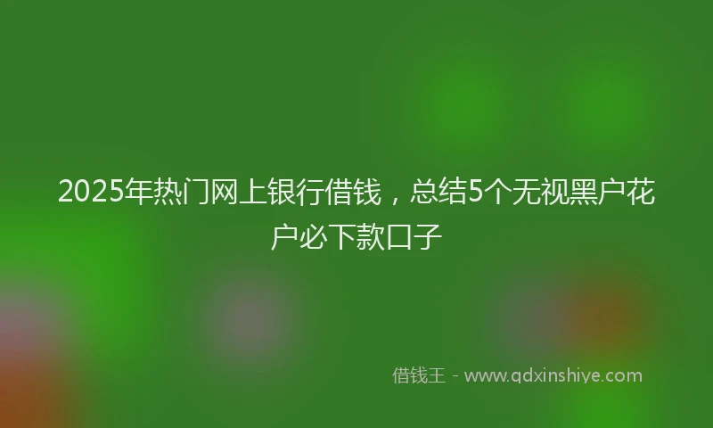 2025年热门网上银行借钱，总结5个无视黑户花户必下款口子