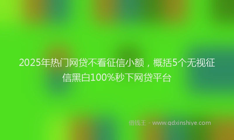 2025年热门网贷不看征信小额，概括5个无视征信黑白100%秒下网贷平台