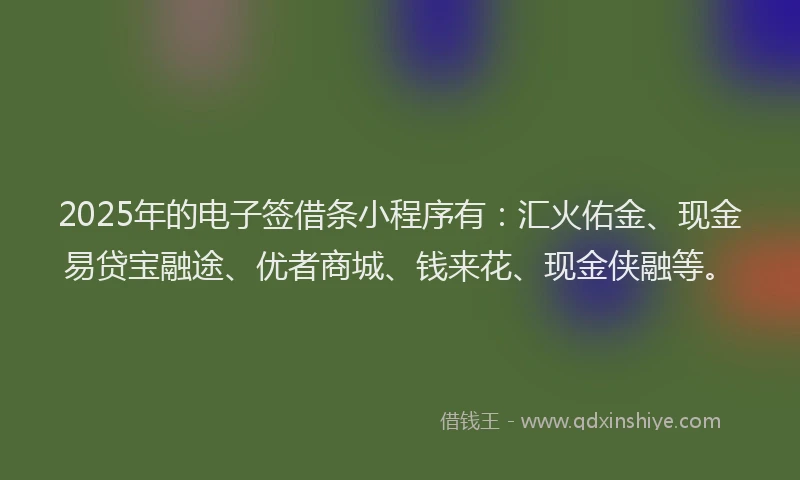 2025年的电子签借条小程序有：汇火佑金、现金易贷宝融途、优者商城、钱来花、现金侠融等。