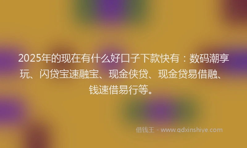 2025年的现在有什么好口子下款快有：数码潮享玩、闪贷宝速融宝、现金侠贷、现金贷易借融、钱速借易行等。