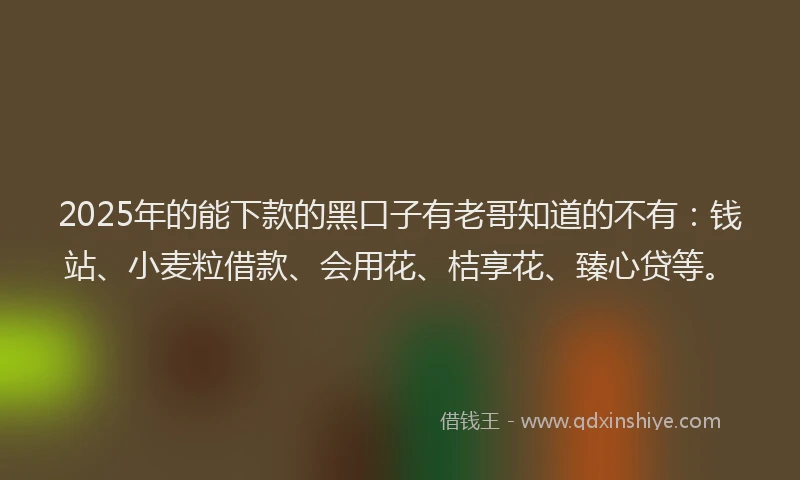 2025年的能下款的黑口子有老哥知道的不有:钱站、小麦粒借款、会用花、桔享花、臻心贷等。