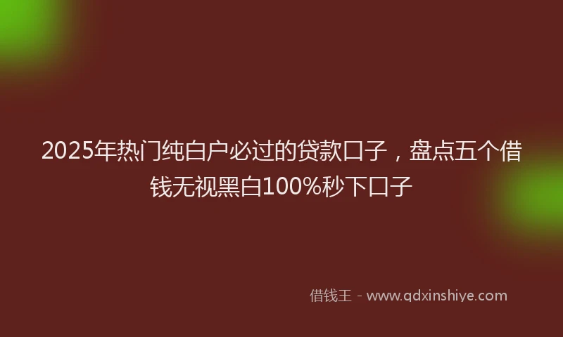 2025年热门纯白户必过的贷款口子，盘点五个借钱无视黑白100%秒下口子