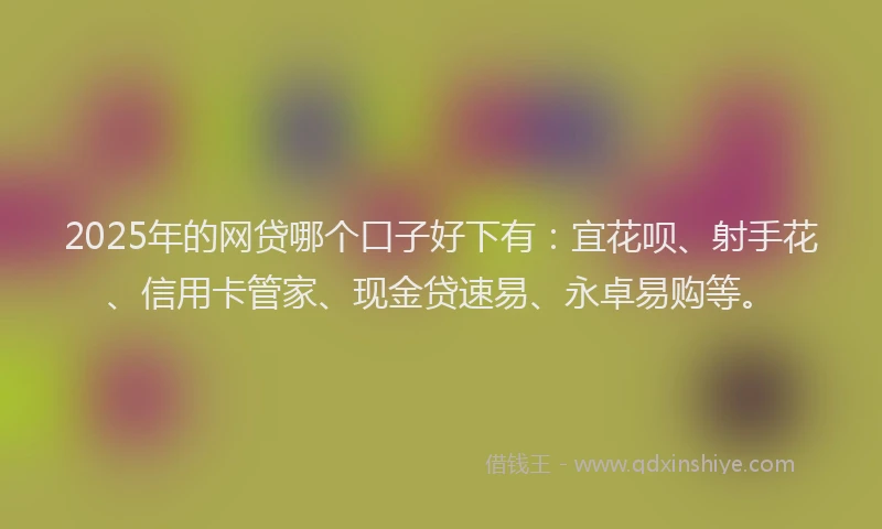 2025年的网贷哪个口子好下有：宜花呗、射手花、信用卡管家、现金贷速易、永卓易购等。
