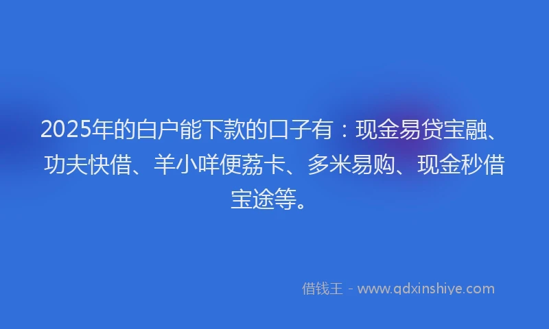 2025年的白户能下款的口子有：现金易贷宝融、功夫快借、羊小咩便荔卡、多米易购、现金秒借宝途等。