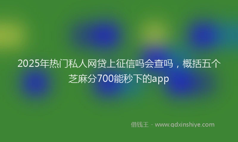 2025年热门私人网贷上征信吗会查吗，概括五个芝麻分700能秒下的app