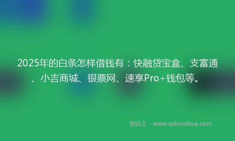 2025年的白条怎样借钱有:快融贷宝盒、支富通、小吉商城、银票网、速享Pro+钱包等。