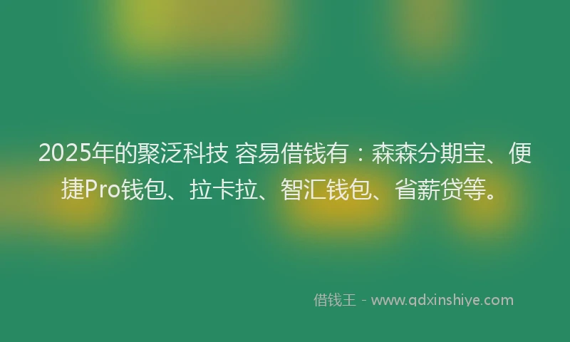 2025年的聚泛科技 容易借钱有：森森分期宝、便捷Pro钱包、拉卡拉、智汇钱包、省薪贷等。