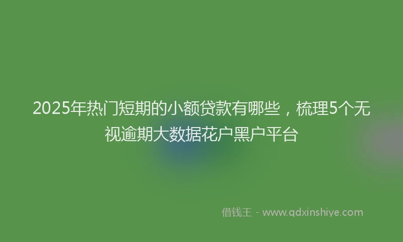 2025年热门短期的小额贷款有哪些，梳理5个无视逾期大数据花户黑户平台