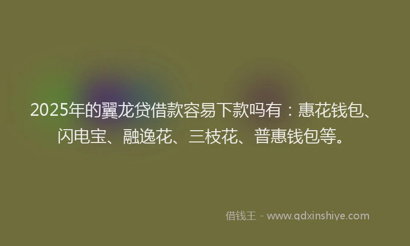 2025年的翼龙贷借款容易下款吗有:惠花钱包、闪电宝、融逸花、三枝花、普惠钱包等。