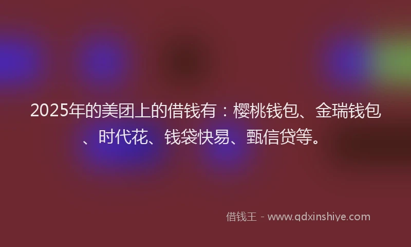2025年的美团上的借钱有:樱桃钱包、金瑞钱包、时代花、钱袋快易、甄信贷等。