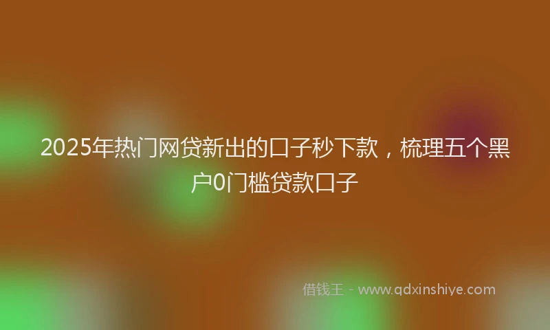 2025年热门网贷新出的口子秒下款，梳理五个黑户0门槛贷款口子