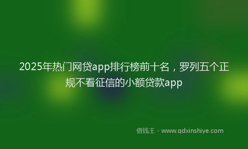 2025年热门网贷app排行榜前十名,罗列五个正规不看征信的小额贷款app