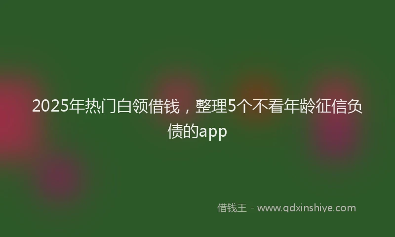 2025年热门白领借钱,整理5个不看年龄征信负债的app
