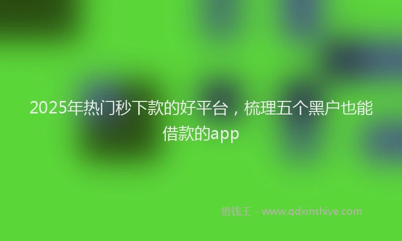 2025年热门秒下款的好平台，梳理五个黑户也能借款的app