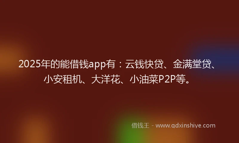 2025年的能借钱app有：云钱快贷、金满堂贷、小安租机、大洋花、小油菜P2P等。