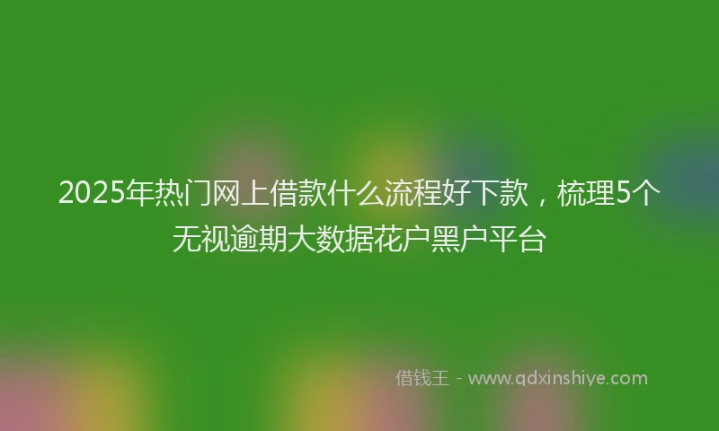 2025年热门网上借款什么流程好下款,梳理5个无视逾期大数据花户黑户平台