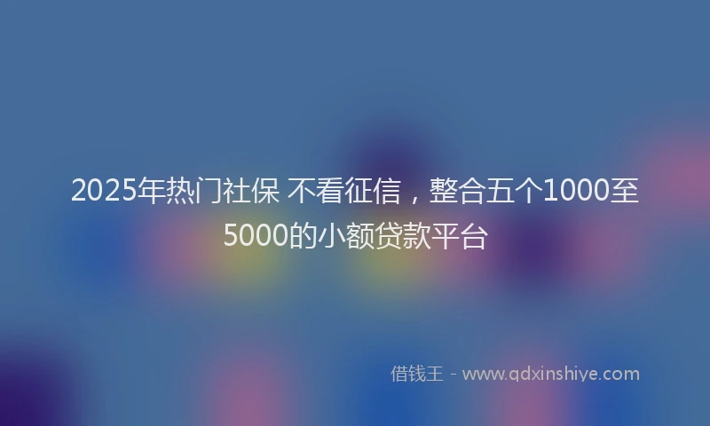 2025年热门社保 不看征信，整合五个1000至5000的小额贷款平台