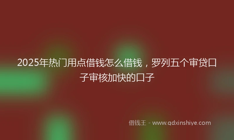 2025年热门用点借钱怎么借钱，罗列五个审贷口子审核加快的口子