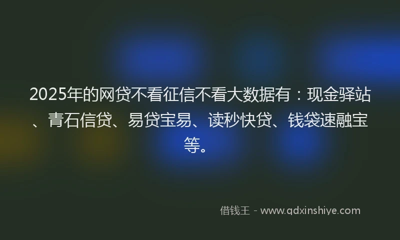 2025年的网贷不看征信不看大数据有：现金驿站、青石信贷、易贷宝易、读秒快贷、钱袋速融宝等。