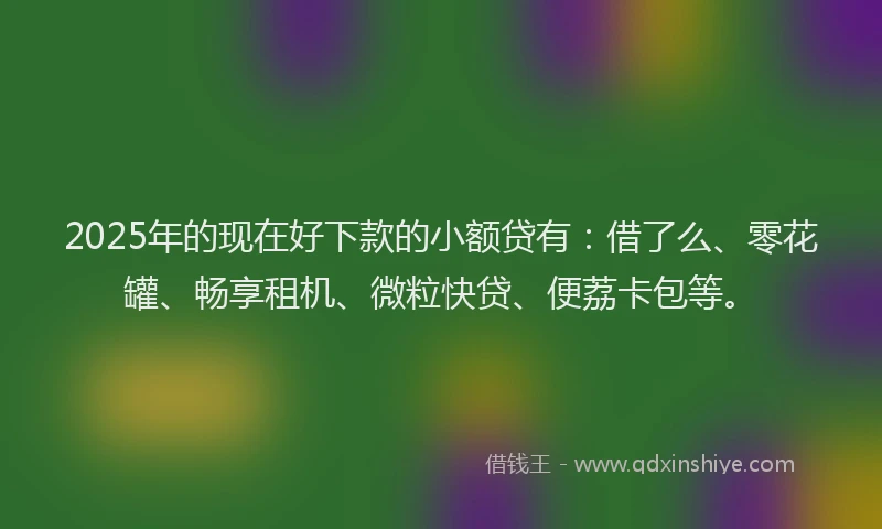 2025年的现在好下款的小额贷有：借了么、零花罐、畅享租机、微粒快贷、便荔卡包等。