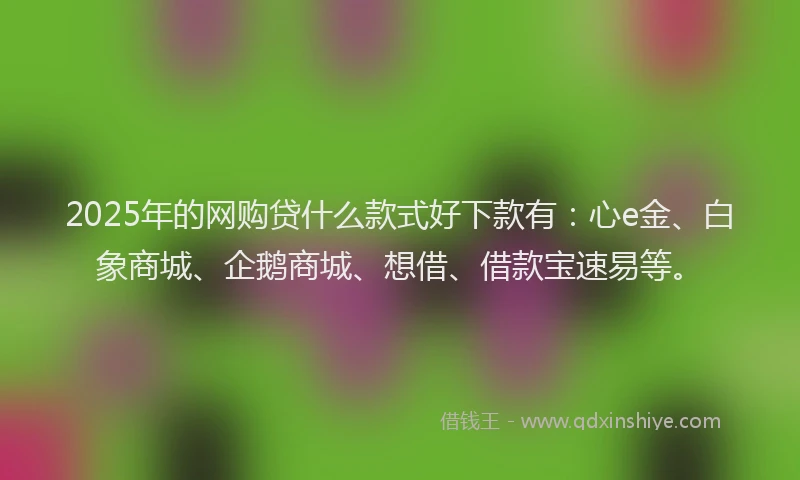 2025年的网购贷什么款式好下款有：心e金、白象商城、企鹅商城、想借、借款宝速易等。