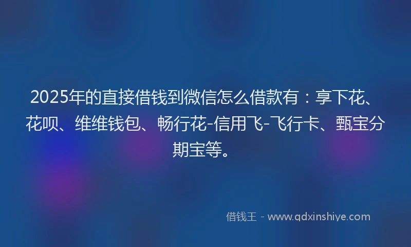 2025年的直接借钱到微信怎么借款有：享下花、花呗、维维钱包、畅行花-信用飞-飞行卡、甄宝分期宝等。
