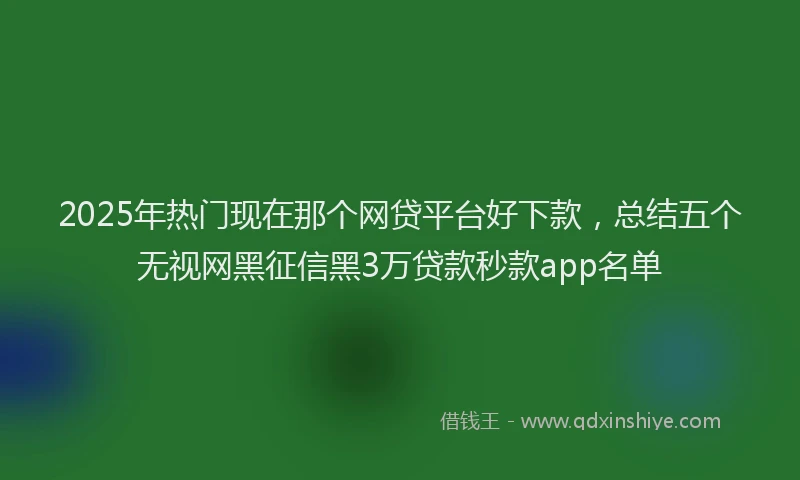 2025年热门现在那个网贷平台好下款，总结五个无视网黑征信黑3万贷款秒款app名单