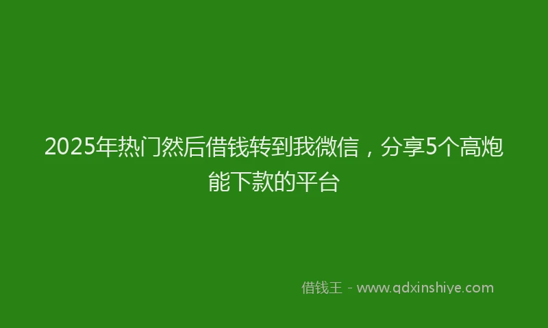 2025年热门然后借钱转到我微信，分享5个高炮能下款的平台