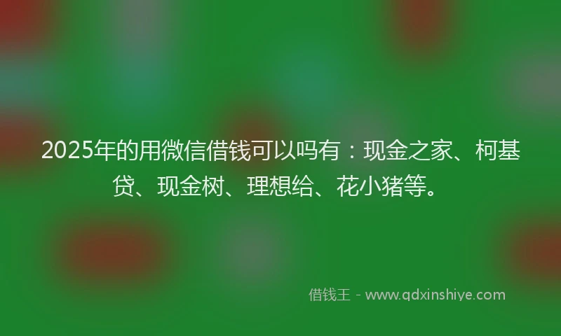 2025年的用微信借钱可以吗有：现金之家、柯基贷、现金树、理想给、花小猪等。