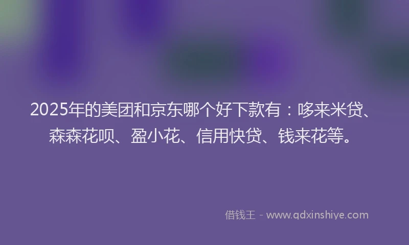 2025年的美团和京东哪个好下款有：哆来米贷、森森花呗、盈小花、信用快贷、钱来花等。