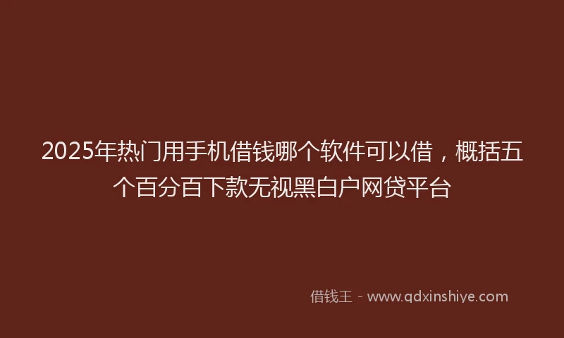 2025年热门用手机借钱哪个软件可以借，概括五个百分百下款无视黑白户网贷平台