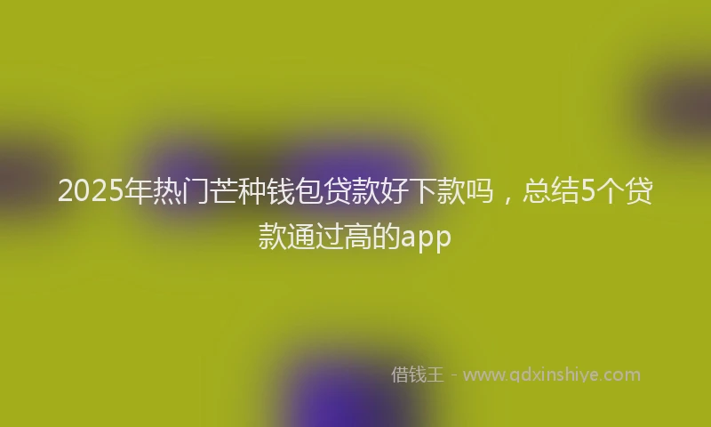 2025年热门芒种钱包贷款好下款吗，总结5个贷款通过高的app