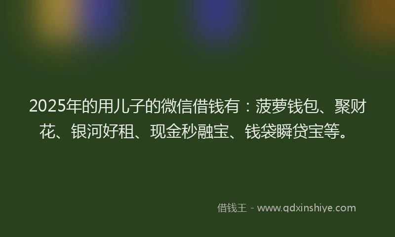 2025年的用儿子的微信借钱有：菠萝钱包、聚财花、银河好租、现金秒融宝、钱袋瞬贷宝等。